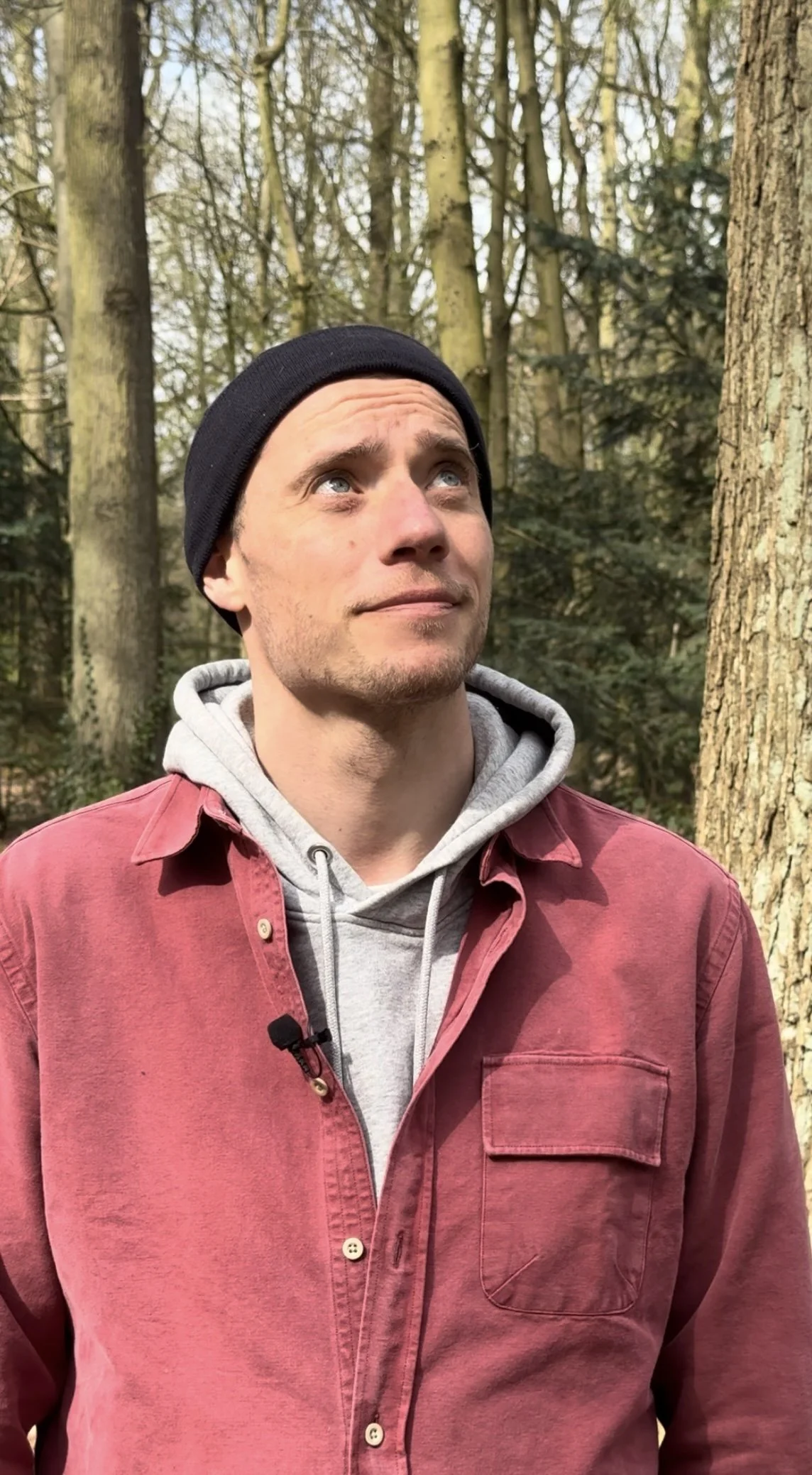 Felix im Wald
